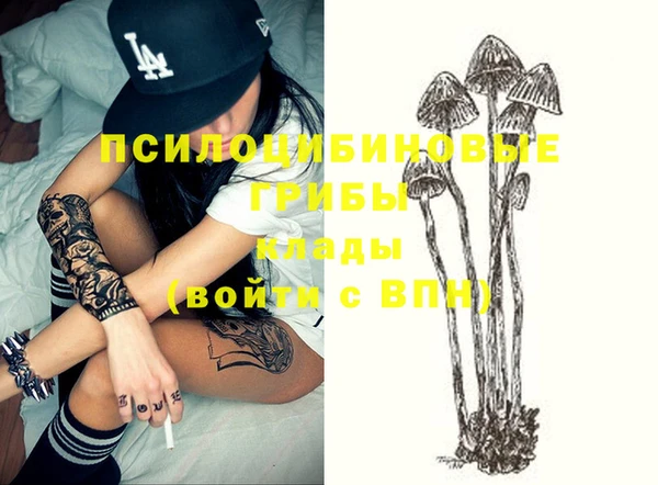 кокаин колумбия Новозыбков